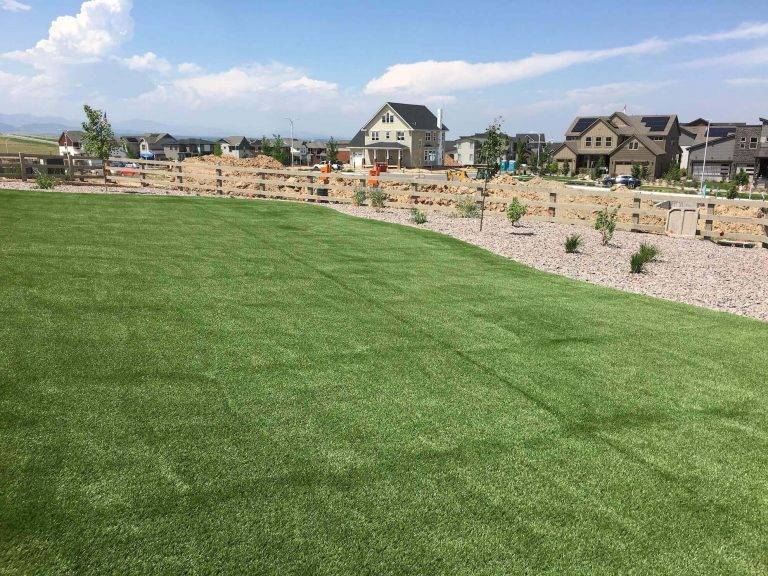 Huge astro turf lawn the size of a football field.